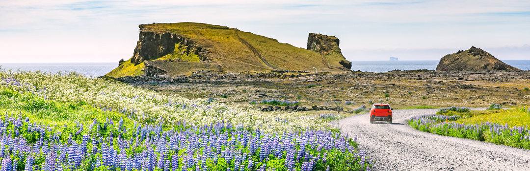 Travel packages to Iceland.