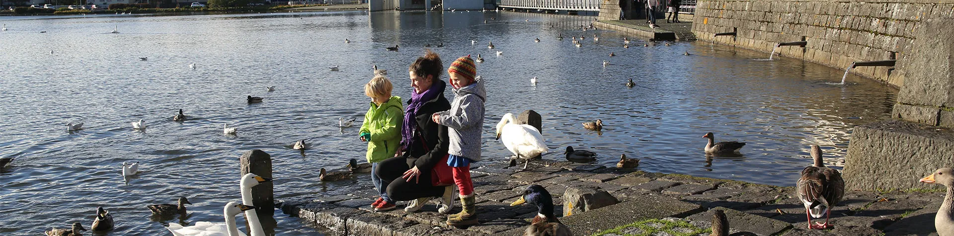 Iceland family vacations