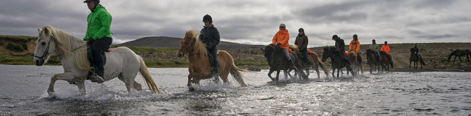 Horse riding in Iceland.