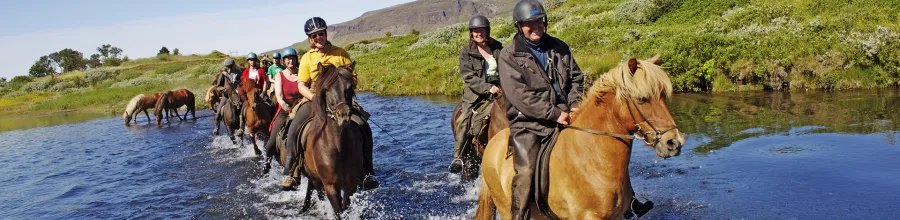 riding, icelandshirse, iceland