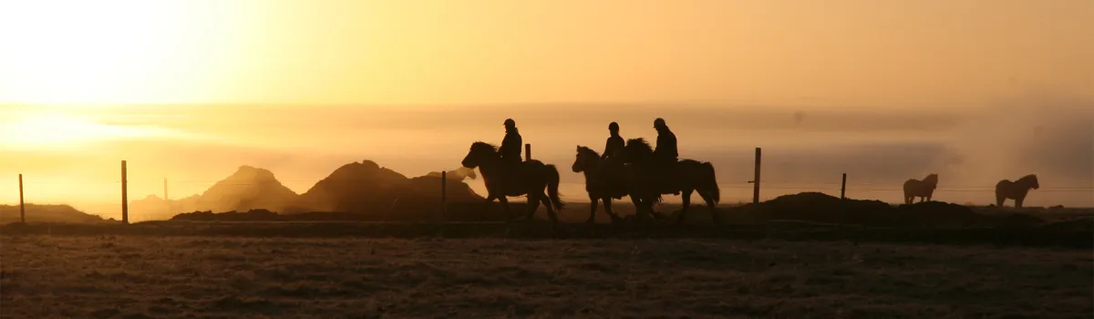 Horse riding in Iceland