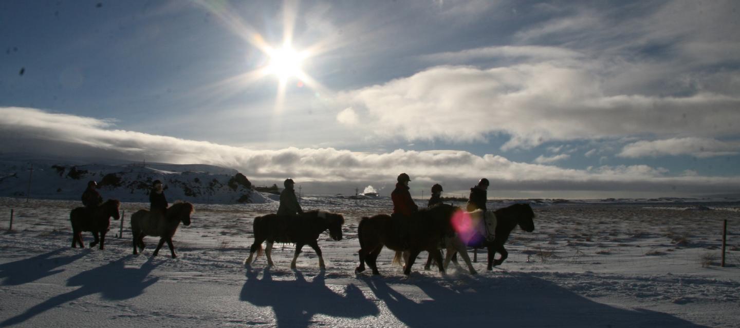 Winter horseback riding in Iceland.