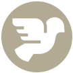 Freedom Icon